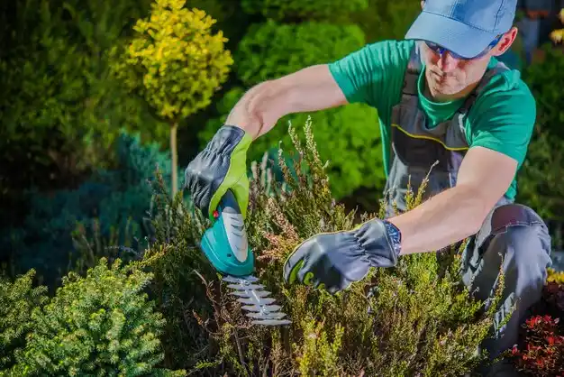 landscaping services Owensboro